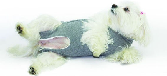 Fashion Dog Cura Pets OP- und Wundschutz-Body für Hunde und Katzen aus Bio-Baumwolle in Grau – Bild 1 von 2