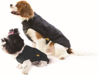 Fashion Dog Regenmantel für Hunde aus Nylon in Schwarz wasserdicht 27 cm - 27 cm – Bild 1 von 9