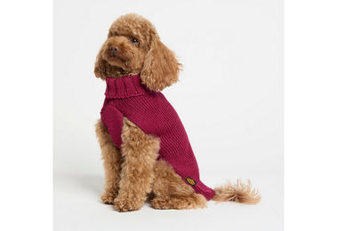 Fashion Dog Strickpullover für Hunde aus Wolle in Rot – Bild 1 von 3