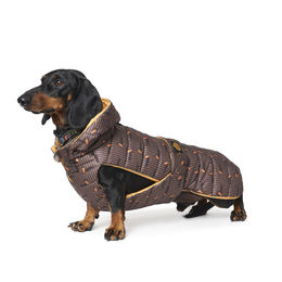 Fashion Dog wasserfester Steppmantel für Dackel in Braun 39 cm – Bild 1 von 3