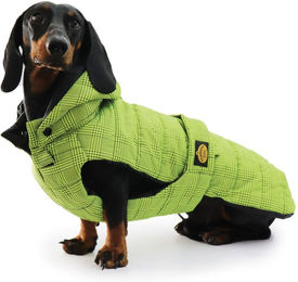 Fashion Dog Wasserfester Steppmantel für Dackel in Grün aus Nylon – Bild 1 von 4