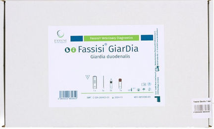 Produktbild von Fassisi Giardia Sneltest 1 Stück