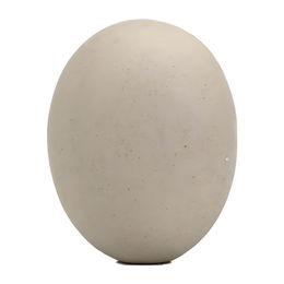 Produktbild von Fauna Hühnerei aus Stein 6 cm zur Förderung der Eiablage und Abgewöhnung von Schalenpicken für Hühner