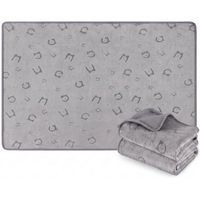 Produktbild von FEANDREA Hundedecke 2er Set wasserdichte und saugstarke Hundematten für Hunde und Kleintiere 90 x 60 cm