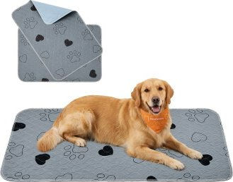 Feandrea Hundewaschbare Welpen-Unterlagen 2er Set auslaufsicher und rutschfest Grösse L 100 x 70 cm – Bild 1 von 1