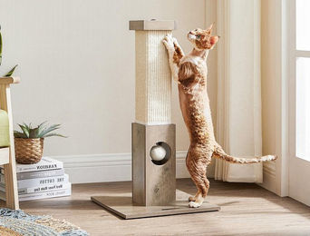 Feandrea Kratzbaum für Katzen aus Sisal mit breitem Sockel 73cm – Bild 1 von 3