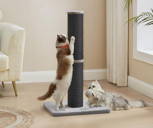 Feandrea Kratzbaum für Katzen XL mit Sisalstamm und Plüschball 85 cm hoch – Bild 1 von 3