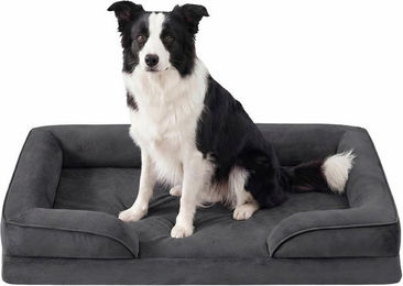 Feandrea Orthopädisches Hundebett Grau mit abnehmbarem Bezug und erhöhten Rändern – Bild 1 von 4