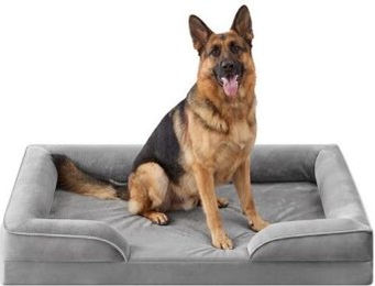 Feandrea Orthopädisches Hundebett Grau mit abnehmbarem Bezug und rutschfester Unterseite – Bild 1 von 3