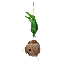 Produktbild von Feather World Vogelspielzeug Coconut Hide aus Kokosnuss für Nymphensittiche und Papageien Braun