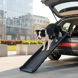 Feel2Home Klappbare Hunderampe als Einstiegshilfe für das Auto aus Kunststoff in Schwarz – Bild 1 von 10