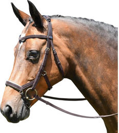 Feeling Ledertrense mit Zügel für Ponys in Braun mit silbernen Strass-Elementen – Bild 1 von 2