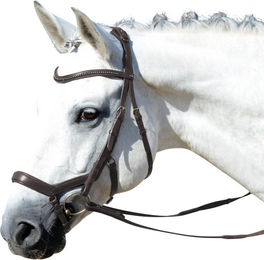 Feeling Ledertrense mit Zügel für Ponys in Schwarz mit silbernen Strass-Applikationen – Bild 1 von 3