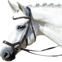 Produktbild von Feeling Ledertrense mit Zügel für Ponys in Schwarz mit silbernen Strass-Applikationen