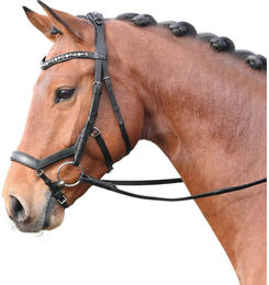 Feeling Ledertrense mit Zügel für Ponys in Schwarz mit Strass-Verzierung Grau-Multi – Bild 1 von 4