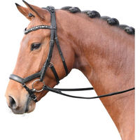Produktbild von Feeling Ledertrense mit Zügel für Ponys in Schwarz mit Strass-Verzierung Grau-Multi