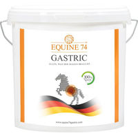 Produktbild von FEI Equine 74 Mineralfutter Pulver für Magen-Darm-Unterstützung beim Pferd