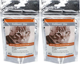 Produktbild von Feligum Dia Leckerli zur Unterstützung der Magen-Darm-Verdauung mit Probiotika und Elektrolyten