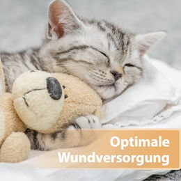 Felisept Fellspray für Katzen 75ml - 75 ml – Bild 1 von 3