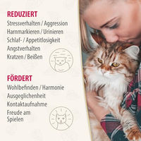 Produktbild von Felisept Home Comfort Beruhigungshalsband für Katzen mit Katzenminze 35 cm