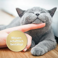 Produktbild von Felisept Home Comfort Beruhigungsspray mit Katzenminze für Katzen 100 ml - 100 ml
