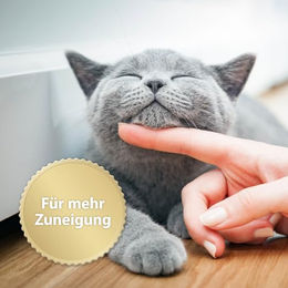 Felisept Home Comfort Nachfüllflakon für Katzen mit natürlicher Katzenminze 3 x 45 ml - 3 x 45 ml – Bild 1 von 8