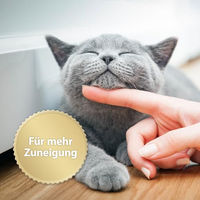 Produktbild von Felisept Home Comfort Nachfüllflakon für Katzen mit natürlicher Katzenminze 3 x 45 ml - 3 x 45 ml