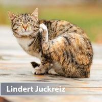 Produktbild von Felisept Mikro Silberspray für Katzen 75ml - 75 ml