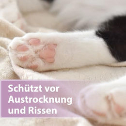 Felisept Pfotenbalsam zur Pfotenpflege für Katzen 75g - 75 g – Bild 1 von 3