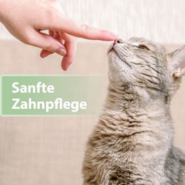 Felisept Zahnpflege Finger-Pads für Katzen 50 Stück - 50 Stk. – Bild 1 von 8