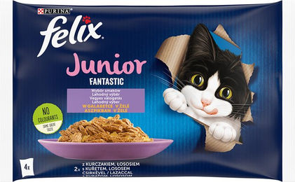 Produktbild von Felix Junior Kitten Nassfutter Lachs und Huhn Stückchen in Gelee 4 x 85 g - 4 x 85 g