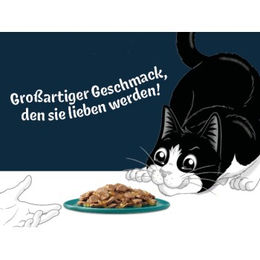 Felix Köstliche Scheibchen Stückchen in Gelee Geschmacksvielfalt Fisch Lachs Thunfisch Kabeljau für Katzen Adult 10 x 80 g - 10 x 80 g – Bild 1 von 4