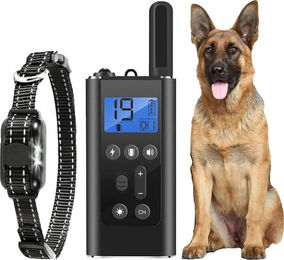FELIXLEO Hundehalsbandleuchte für Hunde aller Größen – Bild 1 von 1