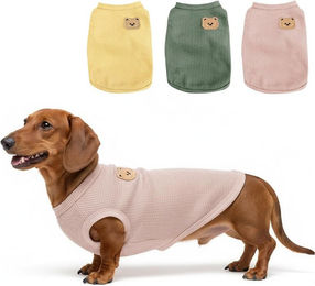 FELIXLEO Hundeshirt T-Shirt für kleine Hunde Adult 3er Pack Bunt Größe M – Bild 1 von 4