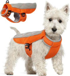 FELIXLEO Kühlweste für Hunde atmungsaktiv mit D-Ring Sommer Kühlmantel Orange XS – Bild 1 von 3