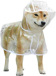 FELIXLEO Regenmantel für Hunde und Katzen mit Kapuze transparent und verstellbar – Bild 1 von 2