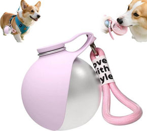 FELIXLEO Reisenapf 2 in 1 Tragbare Hundewasserflasche Faltbar aus Silikon Rosa – Bild 1 von 5