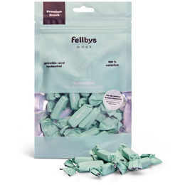Fellby Hundesnacks Trockenfleisch Filet-Bonbons Ente getreidefrei und zuckerfrei 65g - 65 g – Bild 1 von 3
