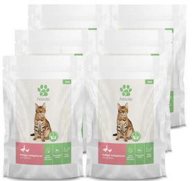 Produktbild von Fellicita Katzen Nassfutter Geflügel Pastete Getreidefrei Monoprotein Adult 6 x 295g Beutel - 6 x 295 g