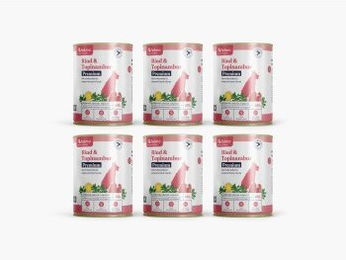 felmo Premium Hund Nassfutter mit Rind ohne Zucker und Zusatzstoffe 6 kg – Bild 1 von 1