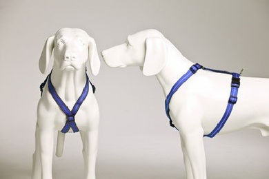 Produktbild von Feltmann Hund Brustgeschirr aus Nylon in Beige mit braunen Pfötchen 20mm 55-75cm