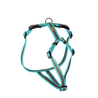 Produktbild von Feltmann Hundegeschirr Kreuzgeschirr aus Nylon in Türkis/Braun wasserabweisend Bauchumfang 50-65 cm