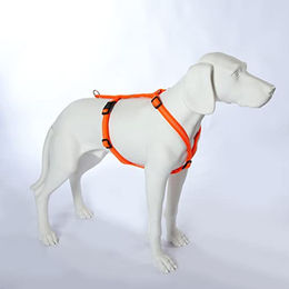 Feltmann Hundegeschirr Mantrailing Basic in Neonorange reflektierend mit 20 mm Bandbreite für Bauchumfang 50-65 cm – Bild 1 von 7