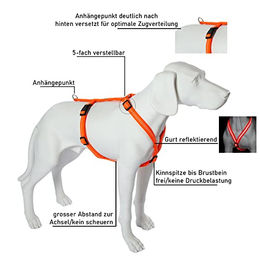 Feltmann Hundegeschirr Mantrailing Basic Sportgeschirr Neonorange Reflektierend Bauchumfang 50-65 cm – Bild 1 von 7