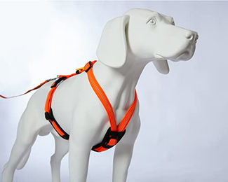 Feltmann Hundegeschirr Mantrailing Sportgeschirr Neonorange Reflektierend mit Neopren Bauchumfang 70-90 cm – Bild 1 von 5