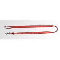 Produktbild von Feltmann Kombileine Mini Nylon Führleine Rot Silber wasserabweisend stufenlos verstellbar 100-200cm