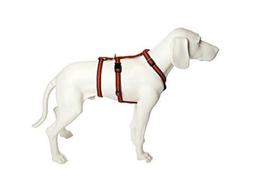 Feltmann No Exit Ausbruchsicheres Hundegeschirr für Angst- und Pflegehunde in Cognac Braun mit 20 mm Bandbreite für 50-65 cm Bauchumfang – Bild 1 von 2