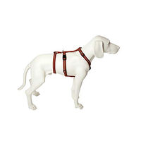 Produktbild von Feltmann No Exit Ausbruchsicheres Hundegeschirr für Angst- und Pflegehunde in Cognac Braun mit 20 mm Bandbreite für 50-65 cm Bauchumfang