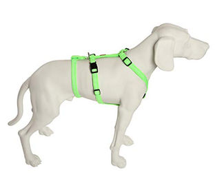 Feltmann No Exit ausbruchsicheres Hundegeschirr für Angst- und Pflegehunde in Neongrün mit 40-60 cm Bauchumfang – Bild 1 von 2