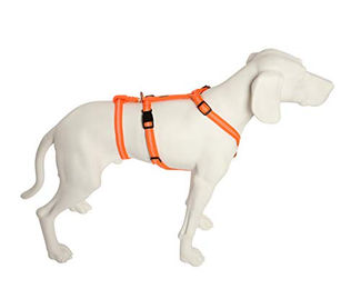 Feltmann No Exit Ausbruchsicheres Hundegeschirr für Angst- und Pflegehunde in Neonorange mit 55-75 cm Bauchumfang – Bild 1 von 2